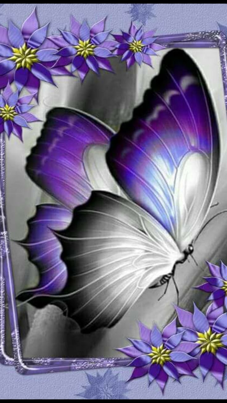 Спокойной ночи бабочки