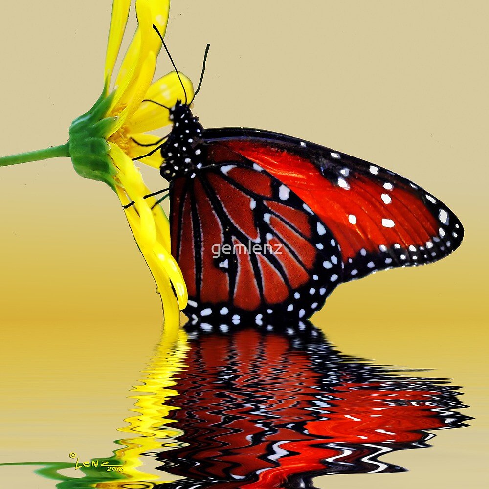 Открыточки спокойной ночи