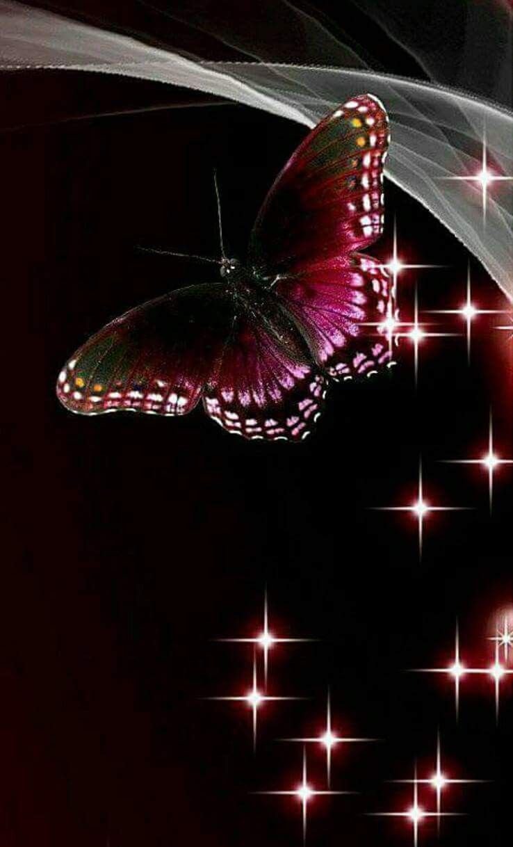 Доброго летнего вечера