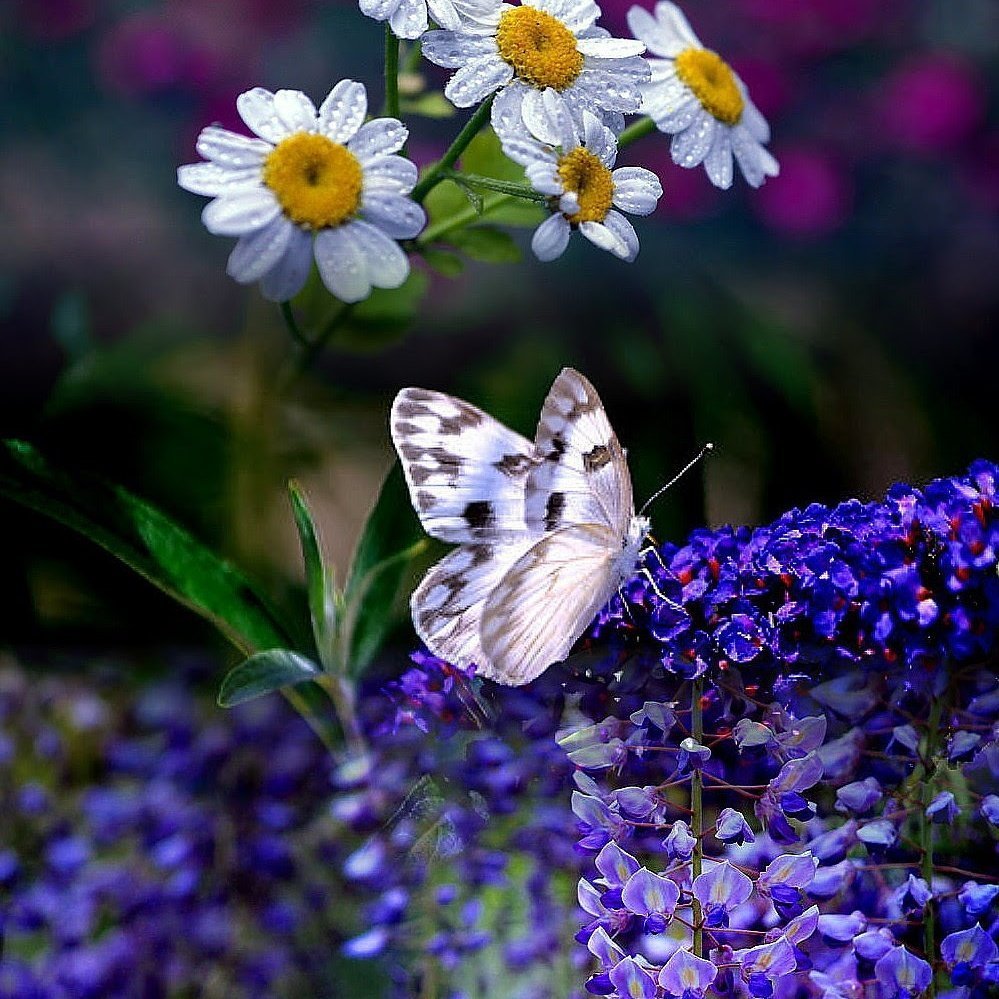 Девушка с огоньком