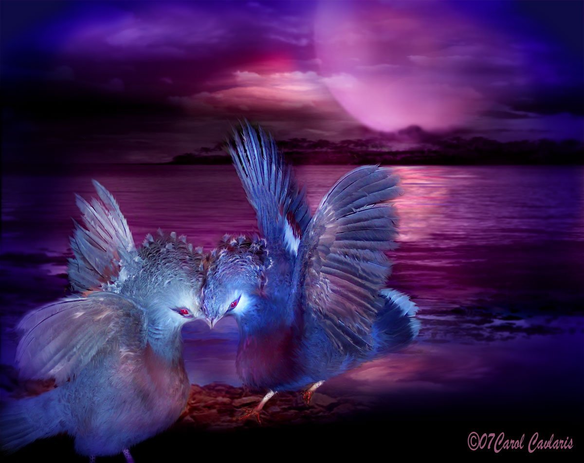 Опасные бабочки