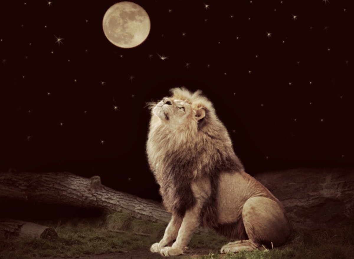 Открытки спокойной ночи красивые