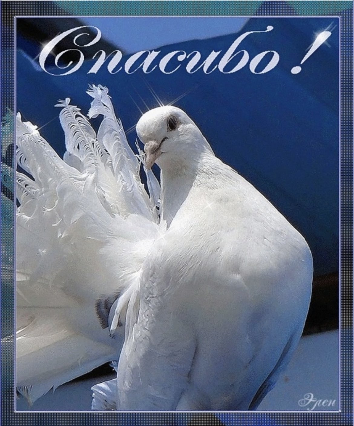 Открытки спасибо за дружбу