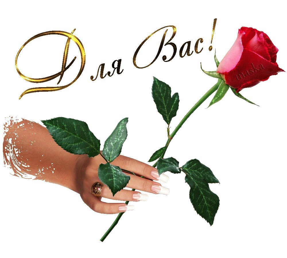 Спасибо моя дорогая