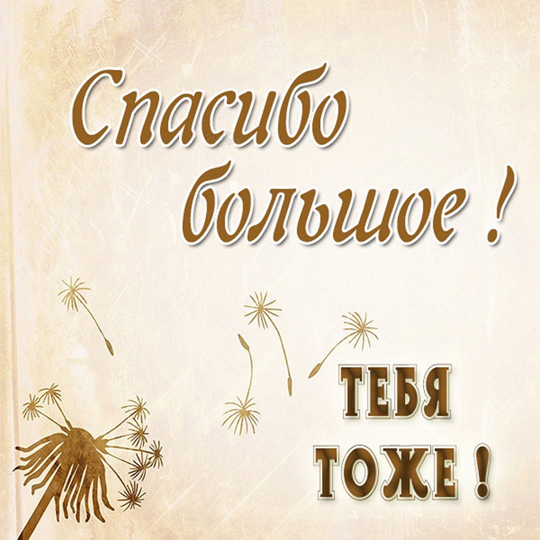 Спасибо картинки с надписями мужчине