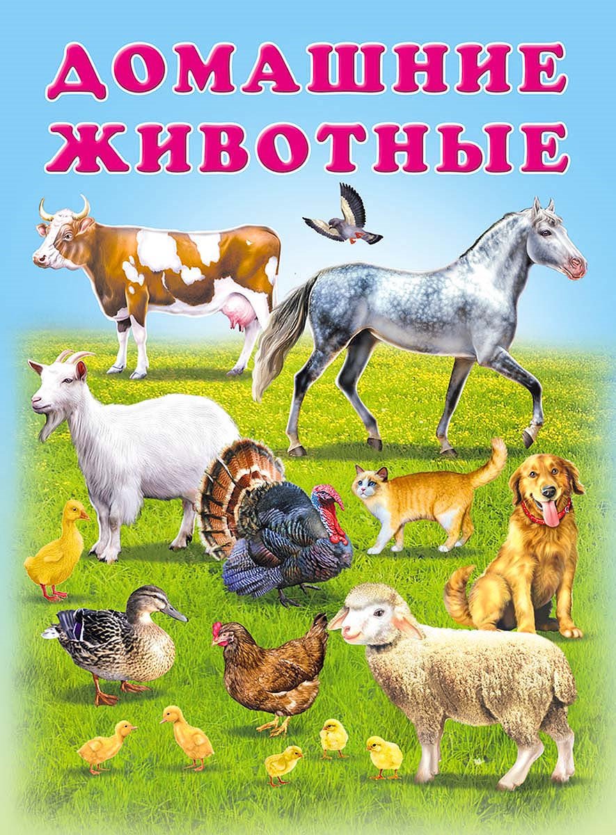 Дикие и домашние животные