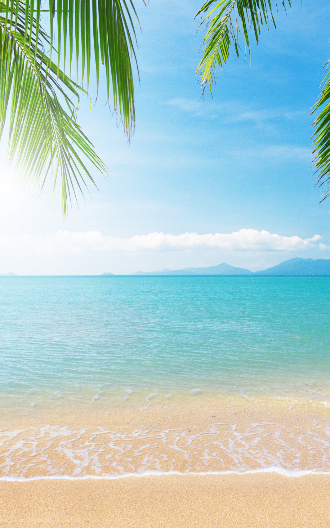 Природа пальмы