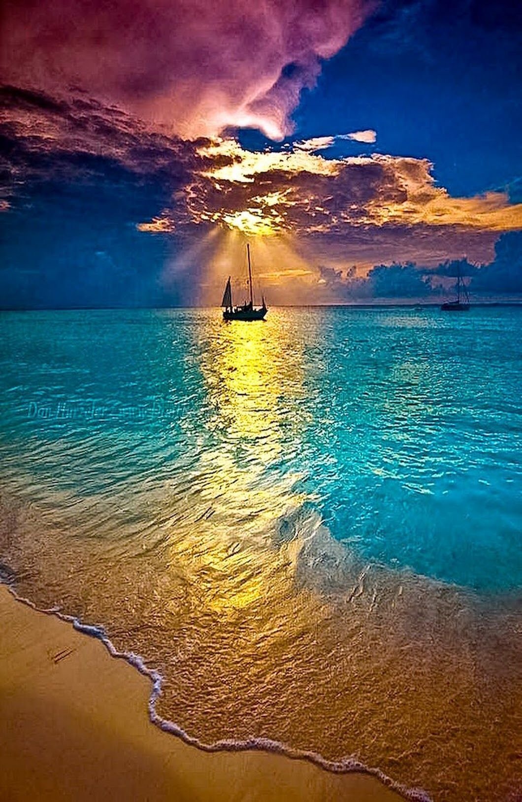 Море пальмы