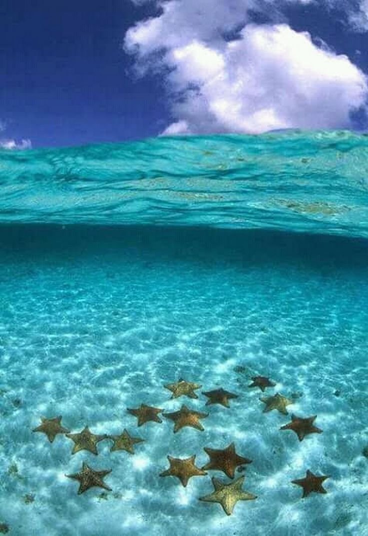 Природа море