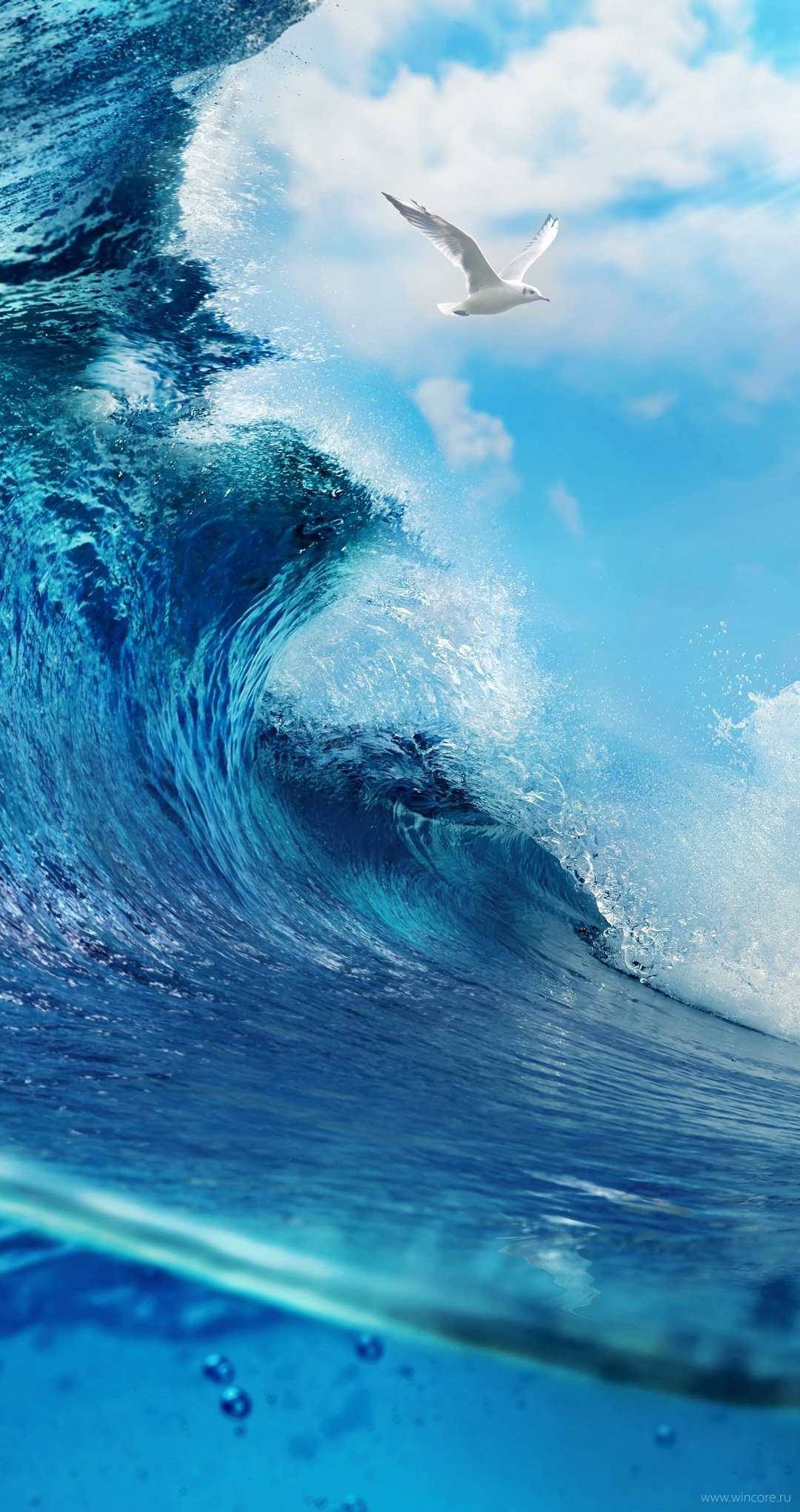 Обои на телефон море