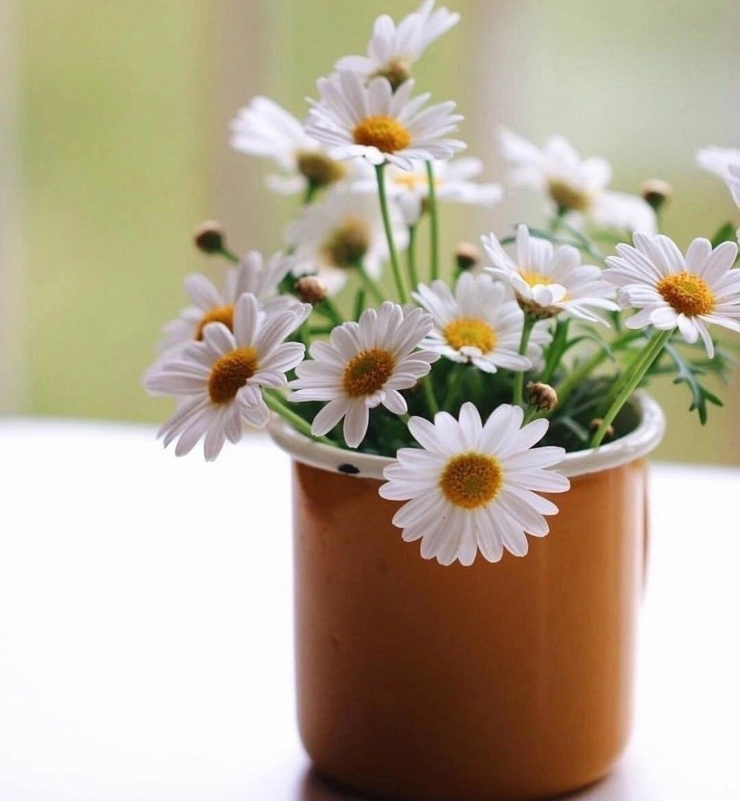 Доброе утро позитивные пожелания