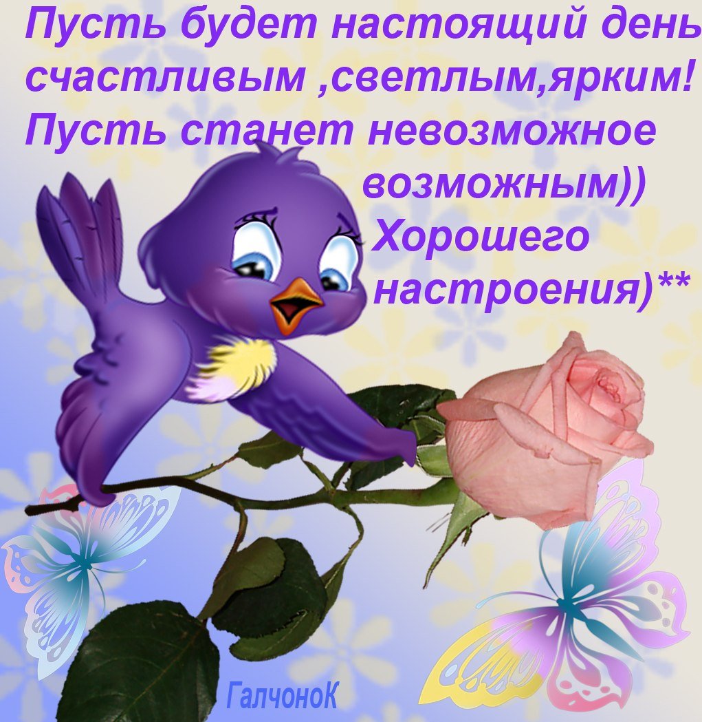 Доброе солнечное утро