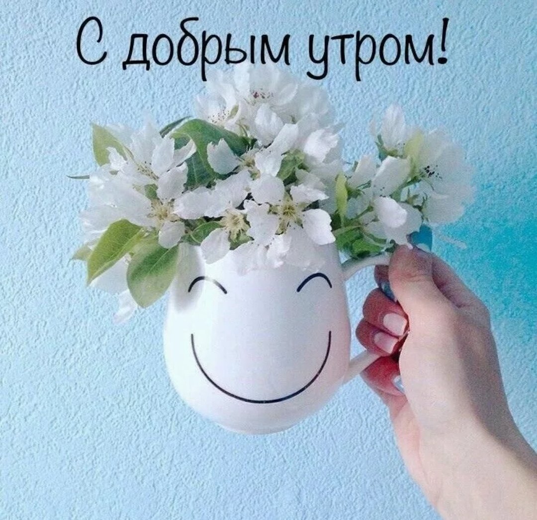 Пожелание хорошего дня картинки мир позитива
