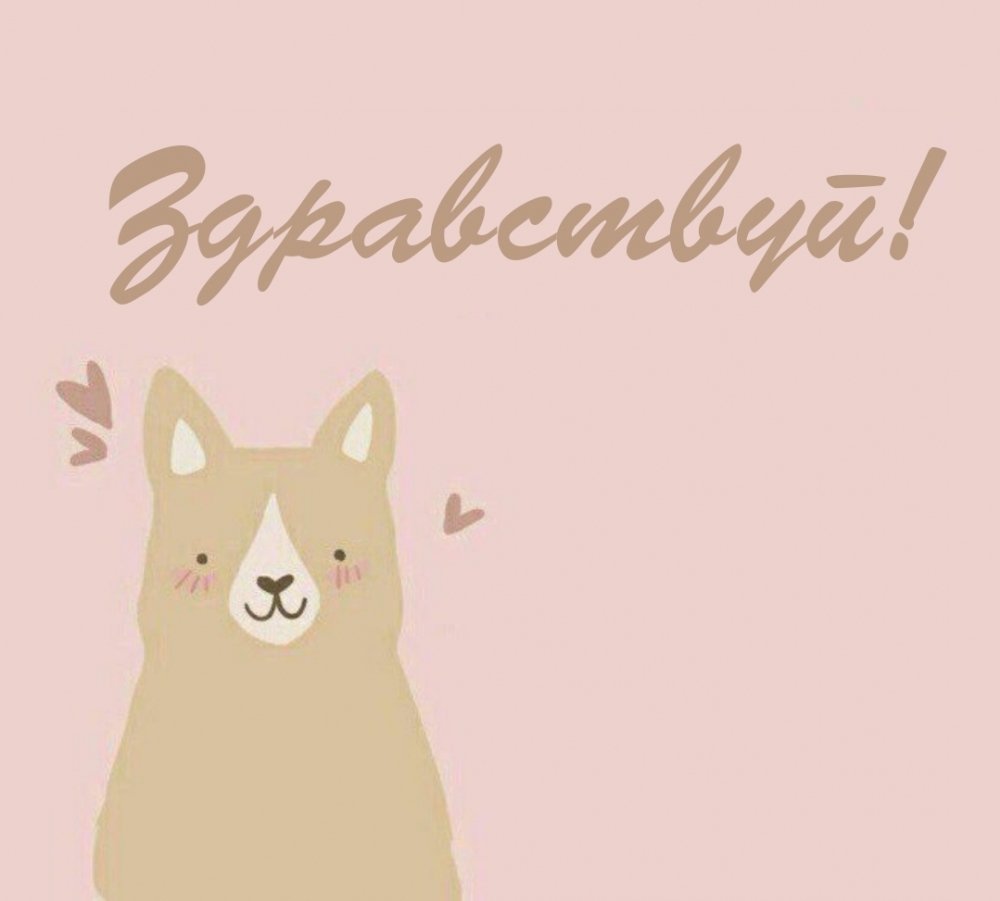 Милые мотивашки