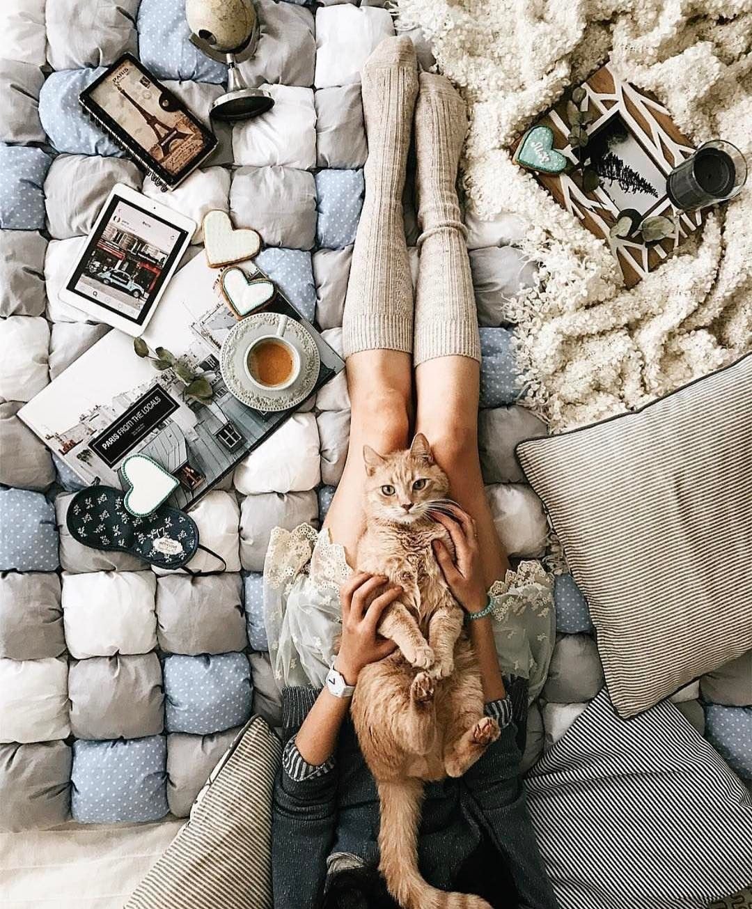 Интересная фотосессия с кошкой