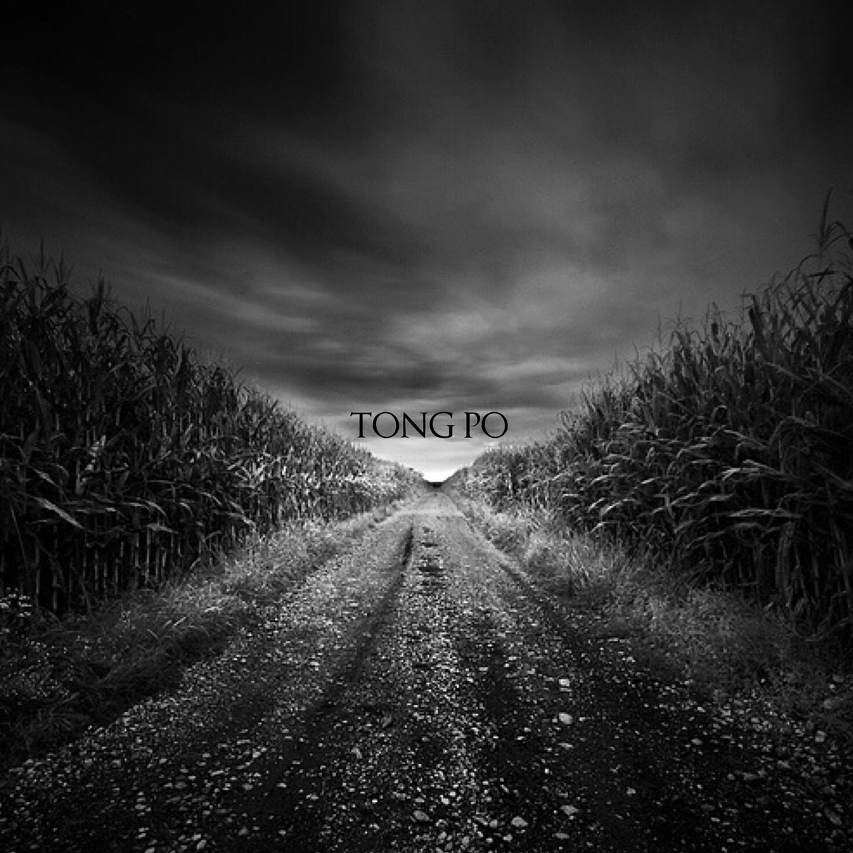 Дорога в даль черно белая