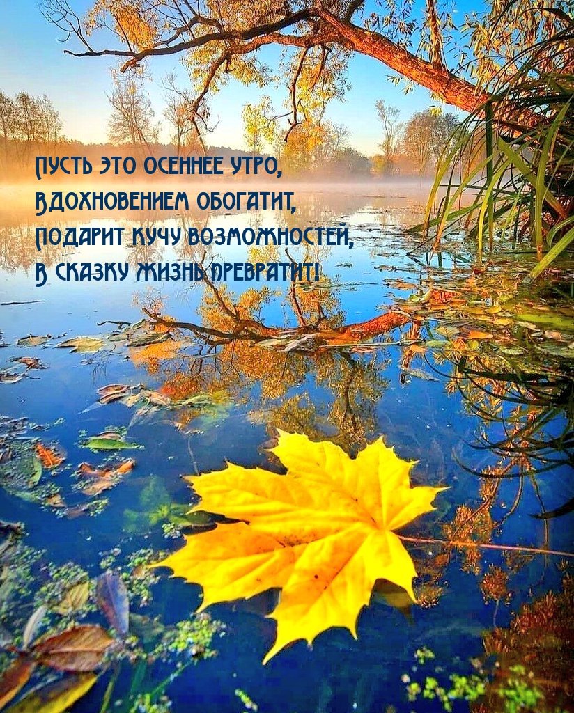 Доброе осеннее утро