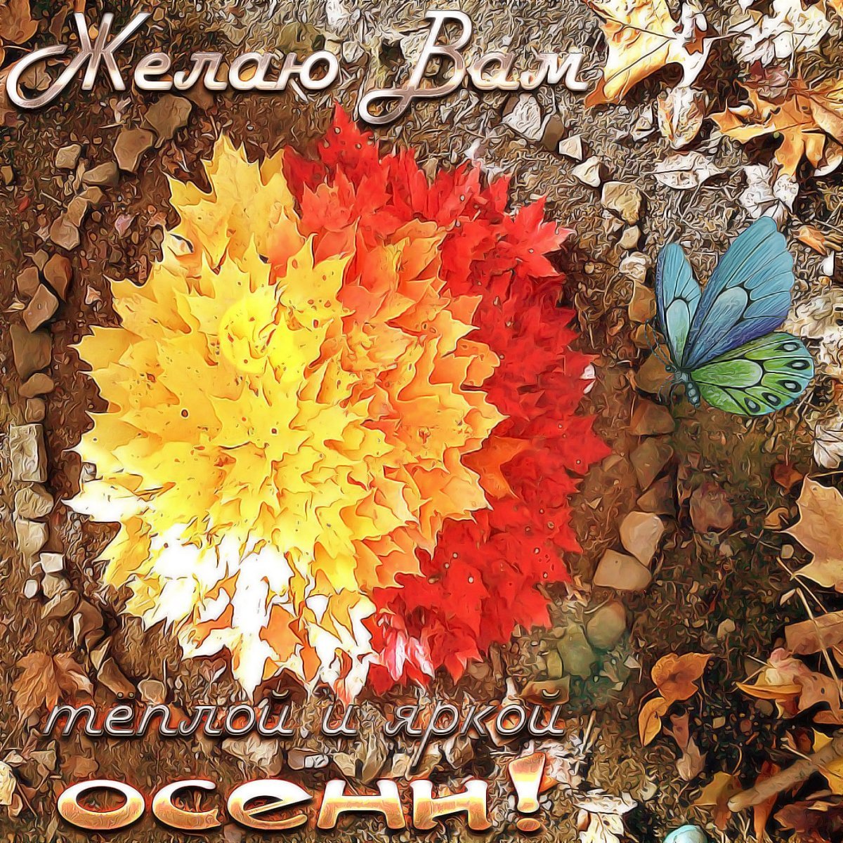 С первым днем осени