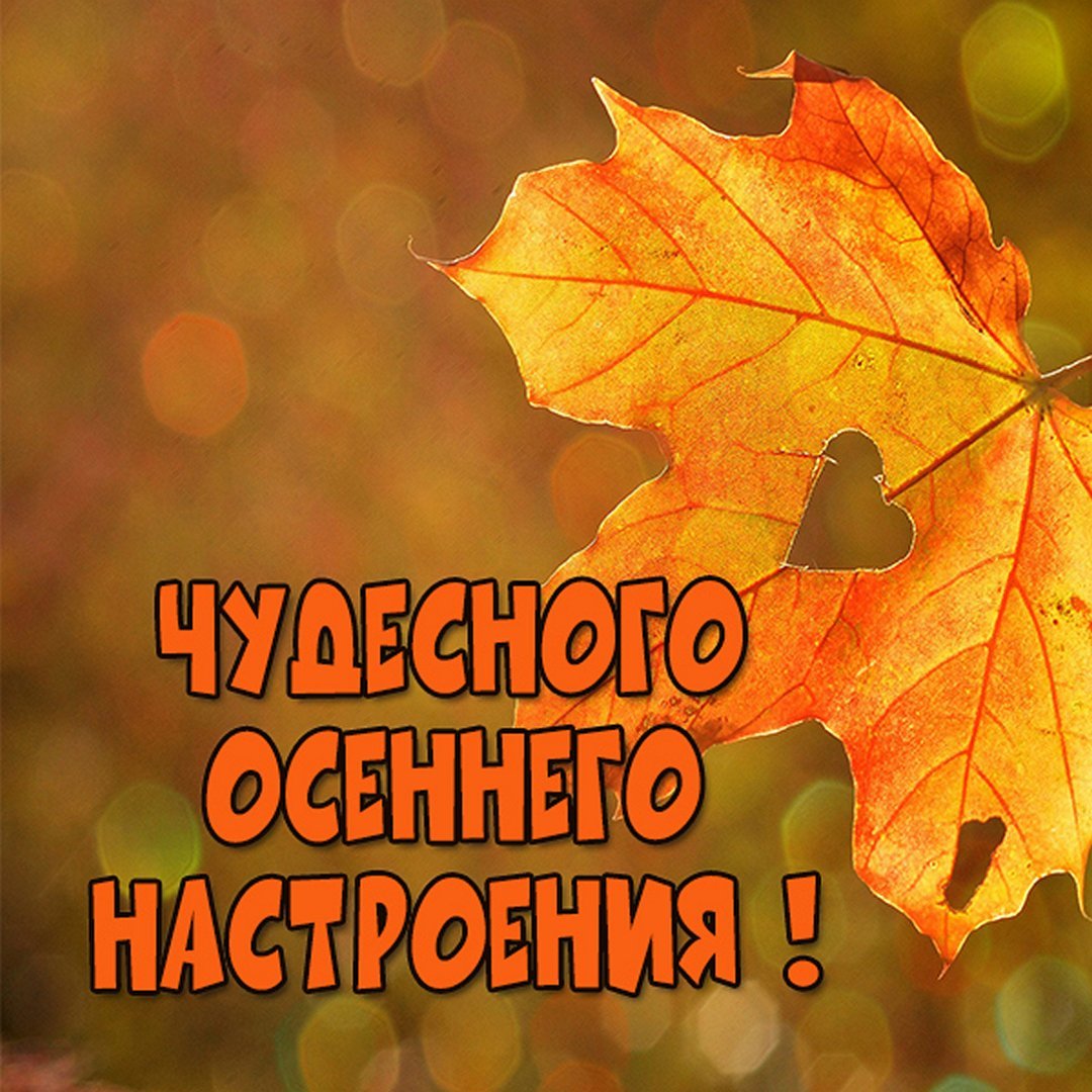 Чудесного осеннего нас