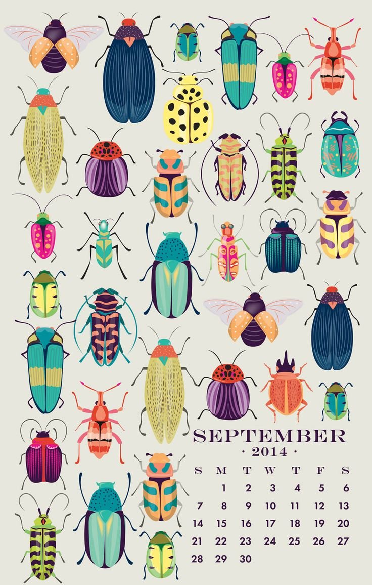 Жуки на Пинтерест