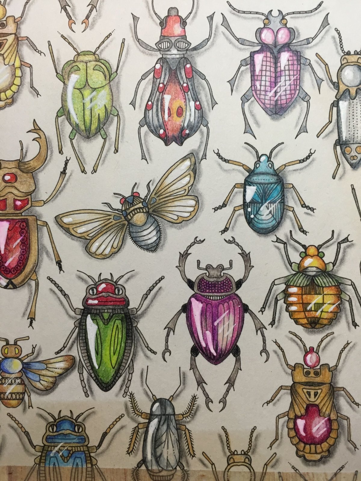 Жук цветными карандашами