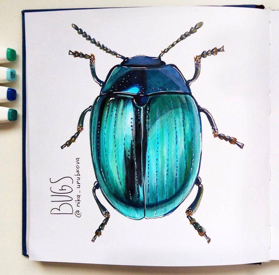 Жук маркерами