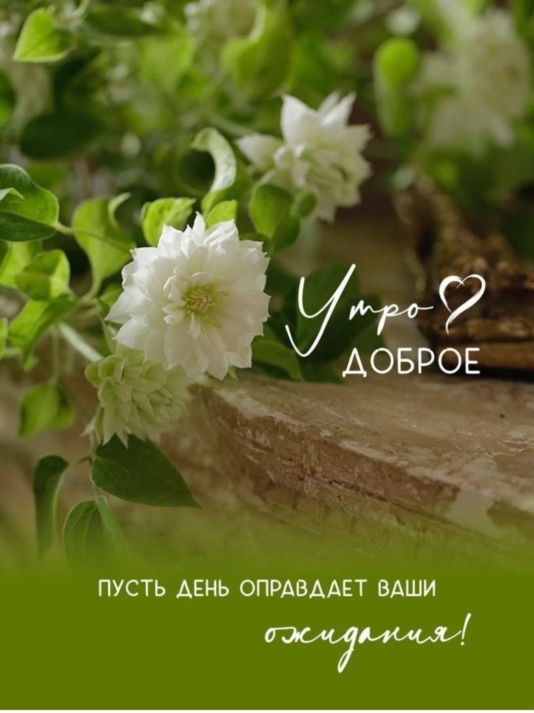 Картинки с добрым утром