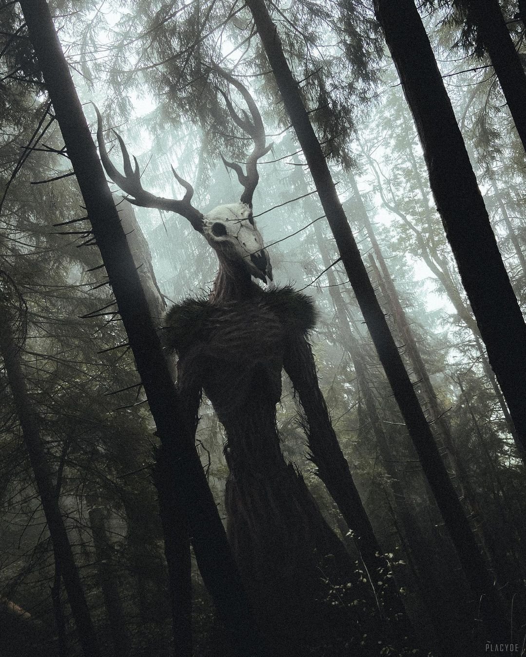 Леший путь проклятых