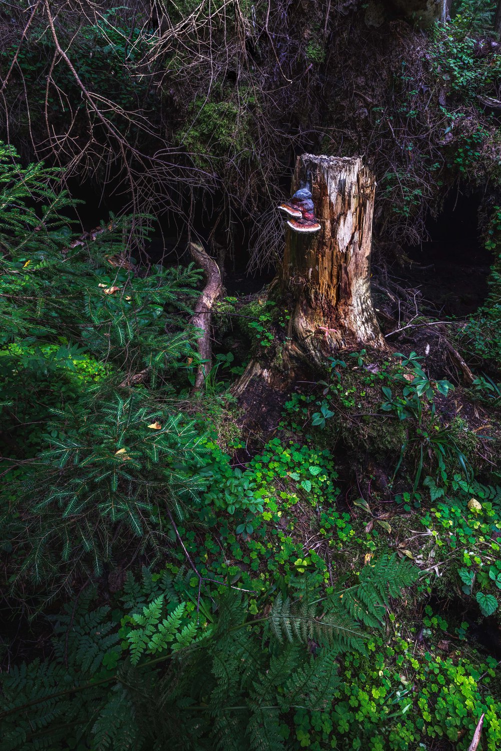 Ритуал фильм 2017 монстр Йотун