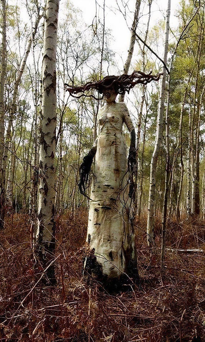 Леший Ведьмак арт