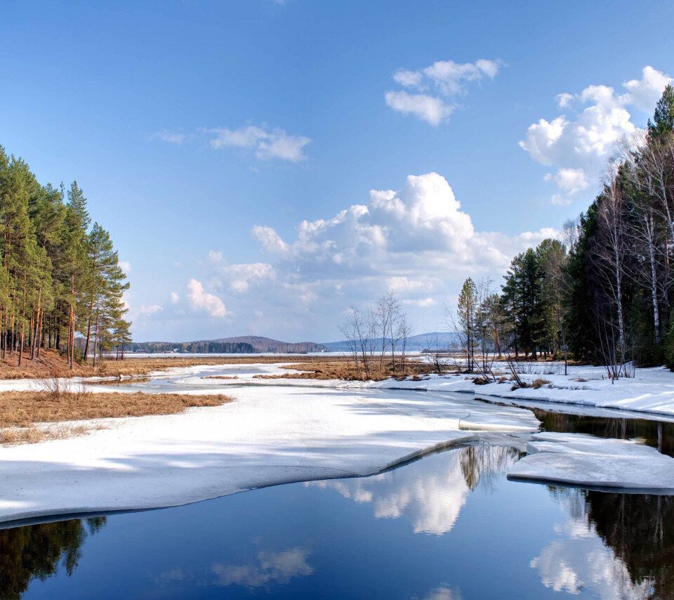 Весенняя природа