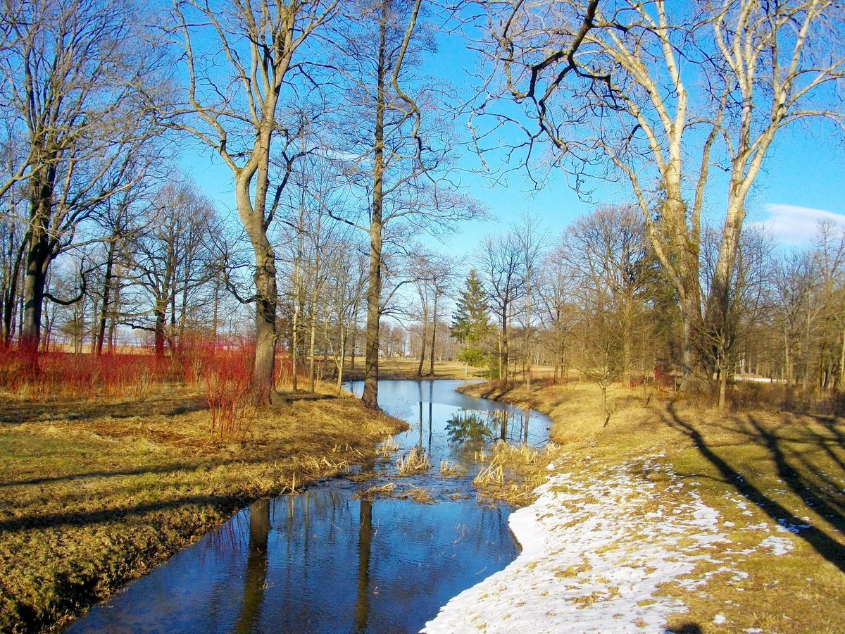 Ранняя Весна панорама