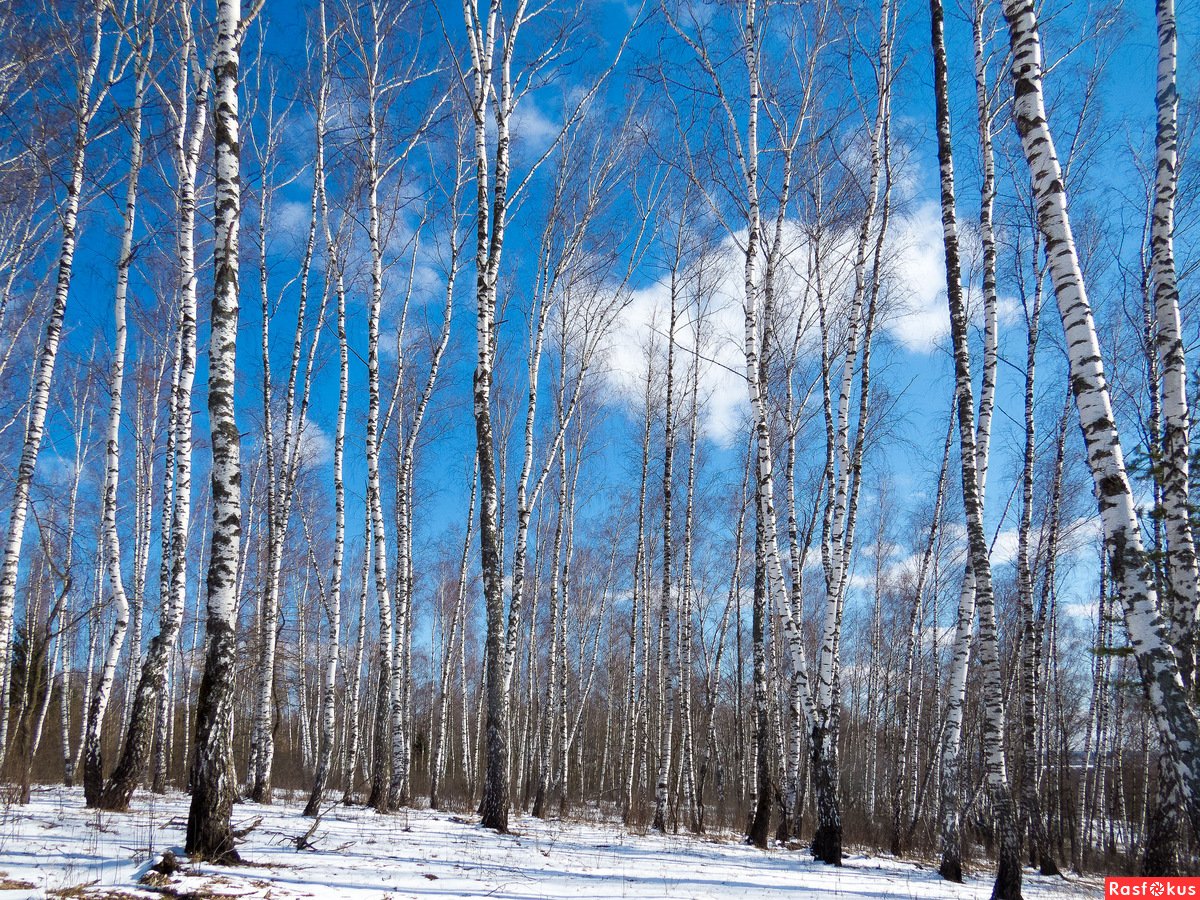 Весна в России