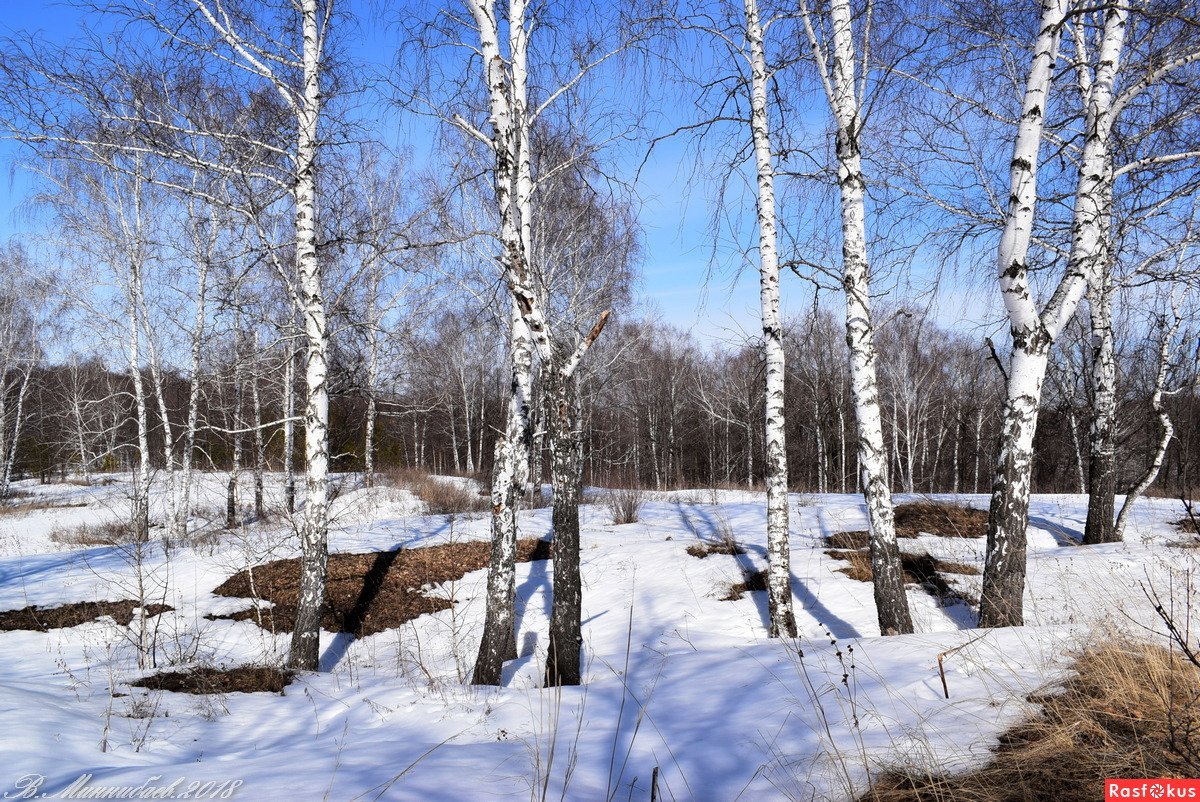 Таяние снега весной