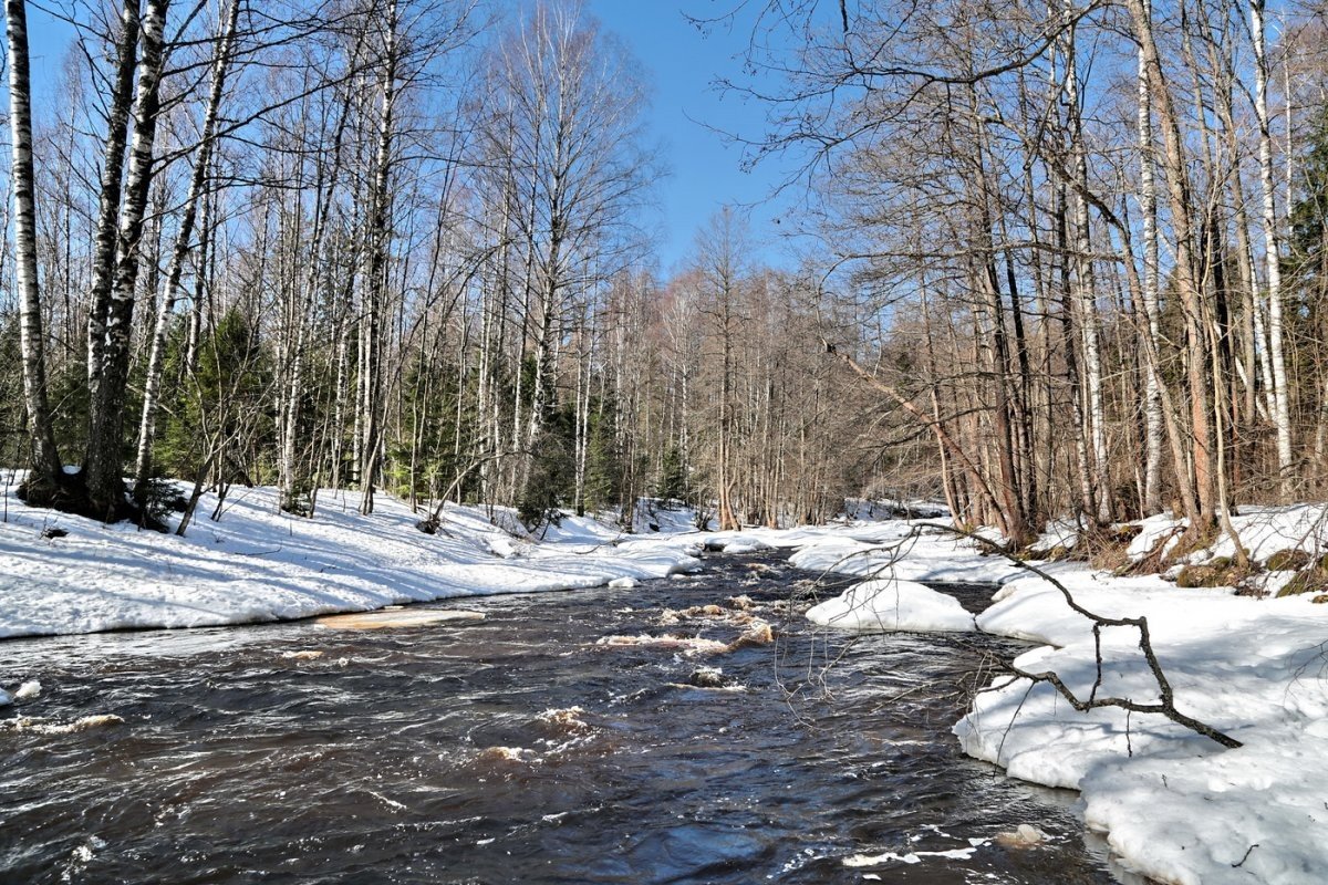 Ранняя Весна солнце
