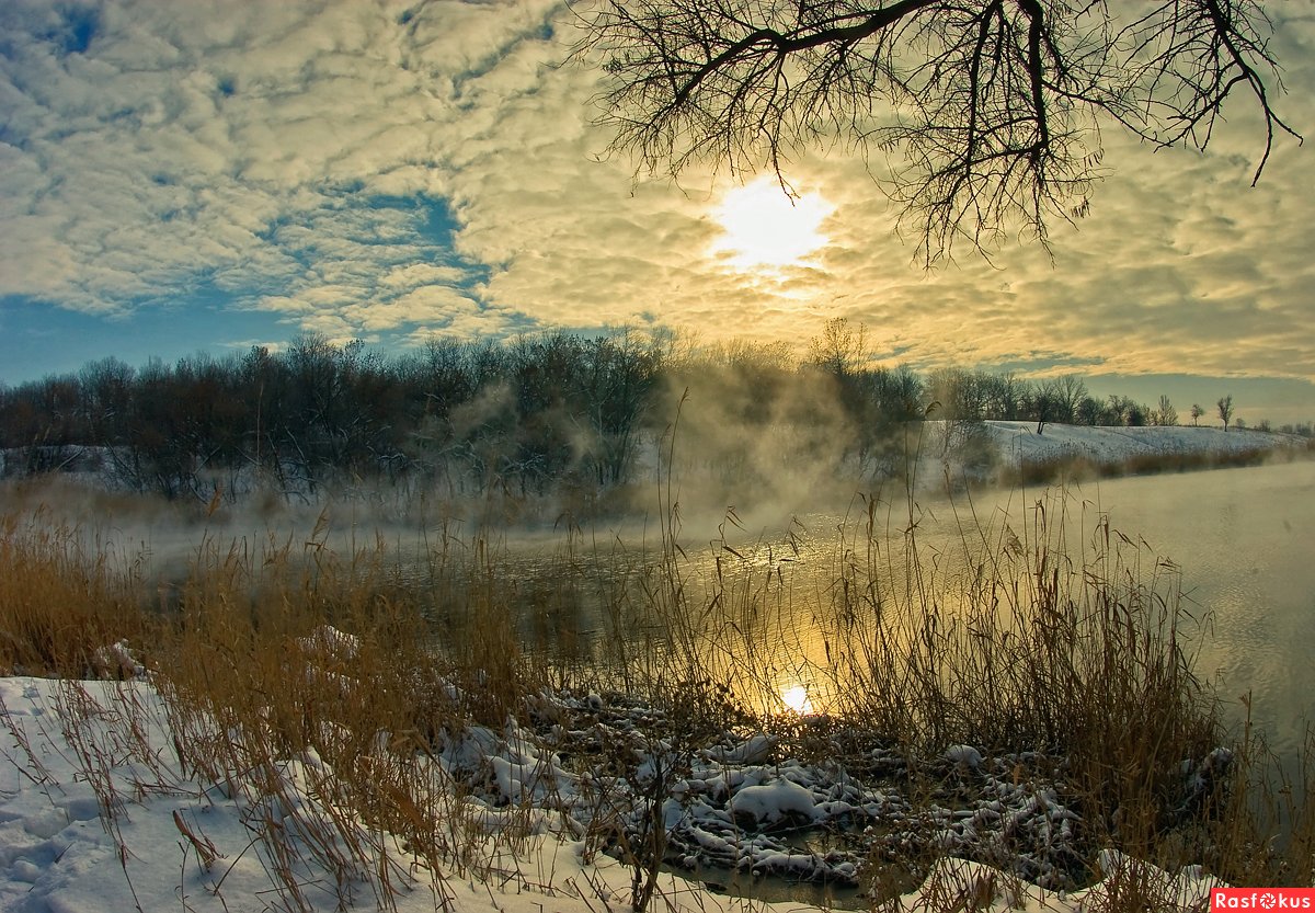 Красивая ранняя Весна