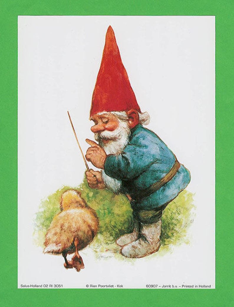 Старый гномик