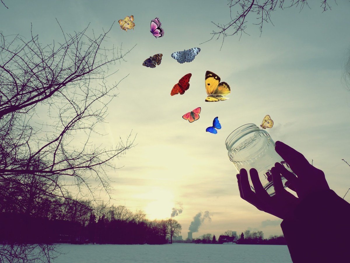 Радость жизни