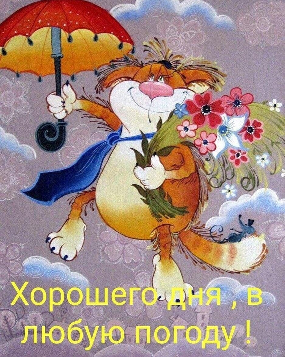 Доброе дождливое утро