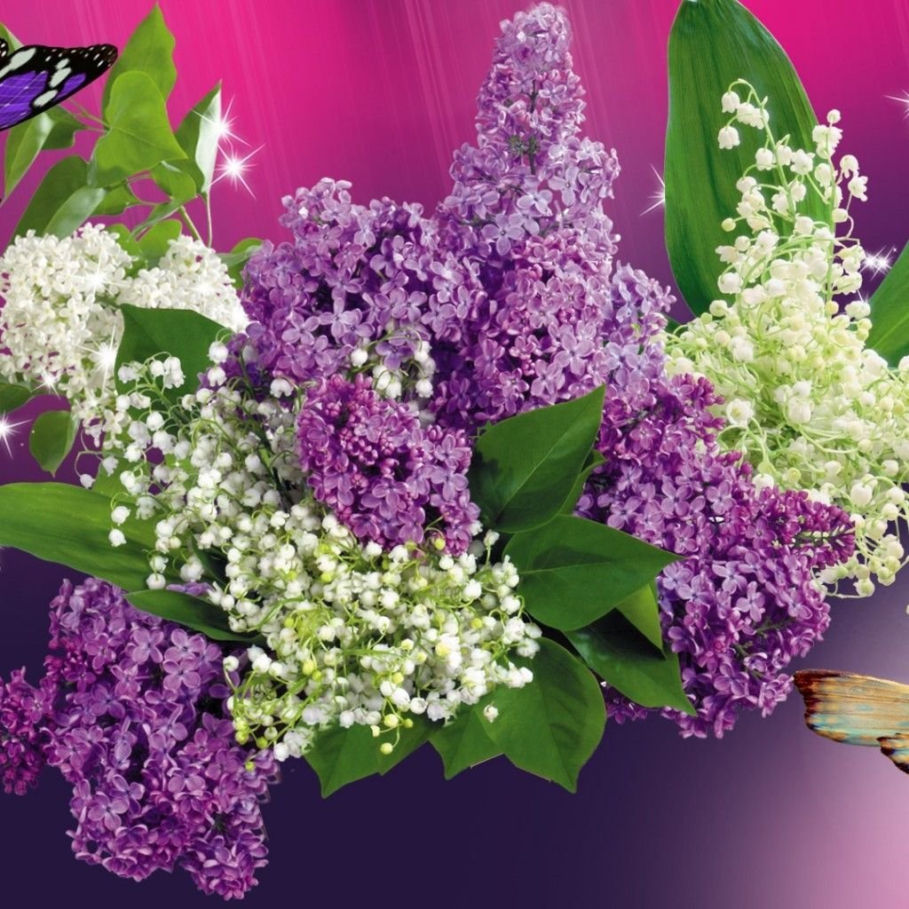 Цветы Ландыши и сирень