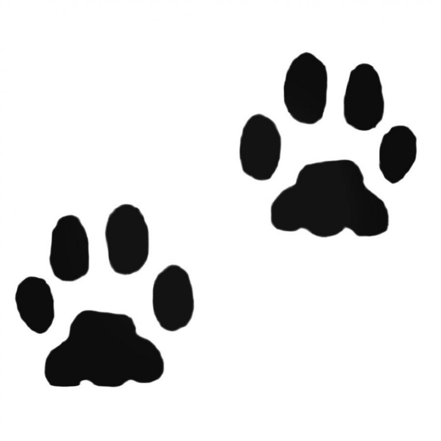 Следы женские