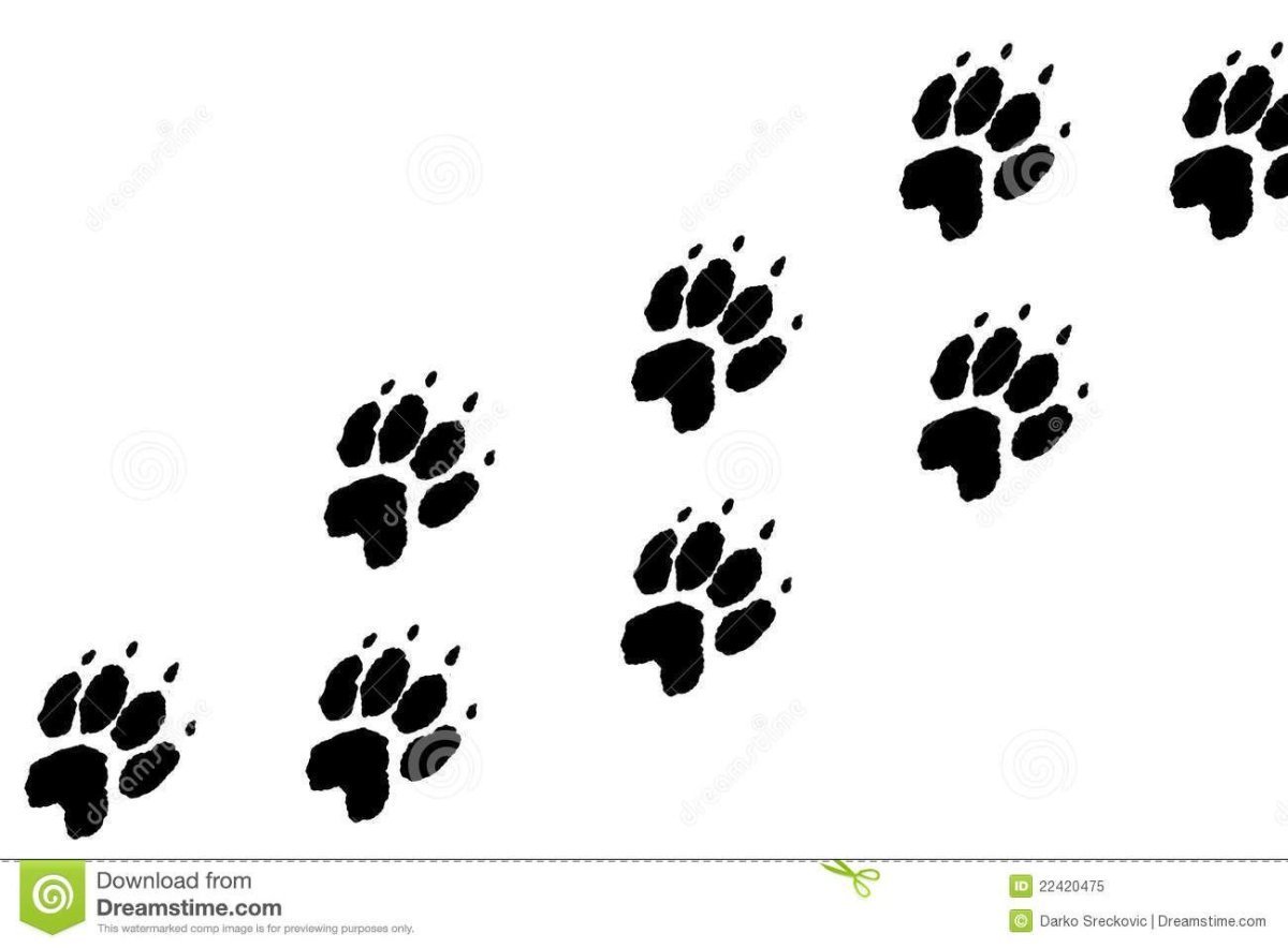 Отпечаток лапы ежа