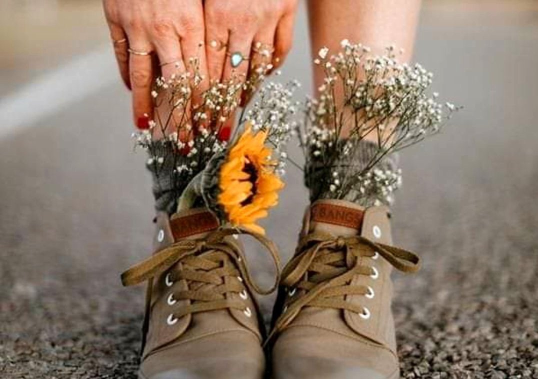 Кот пасмурно