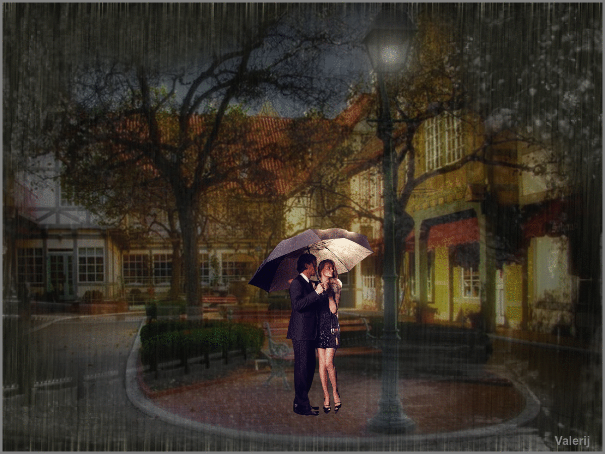 Кот под дождем