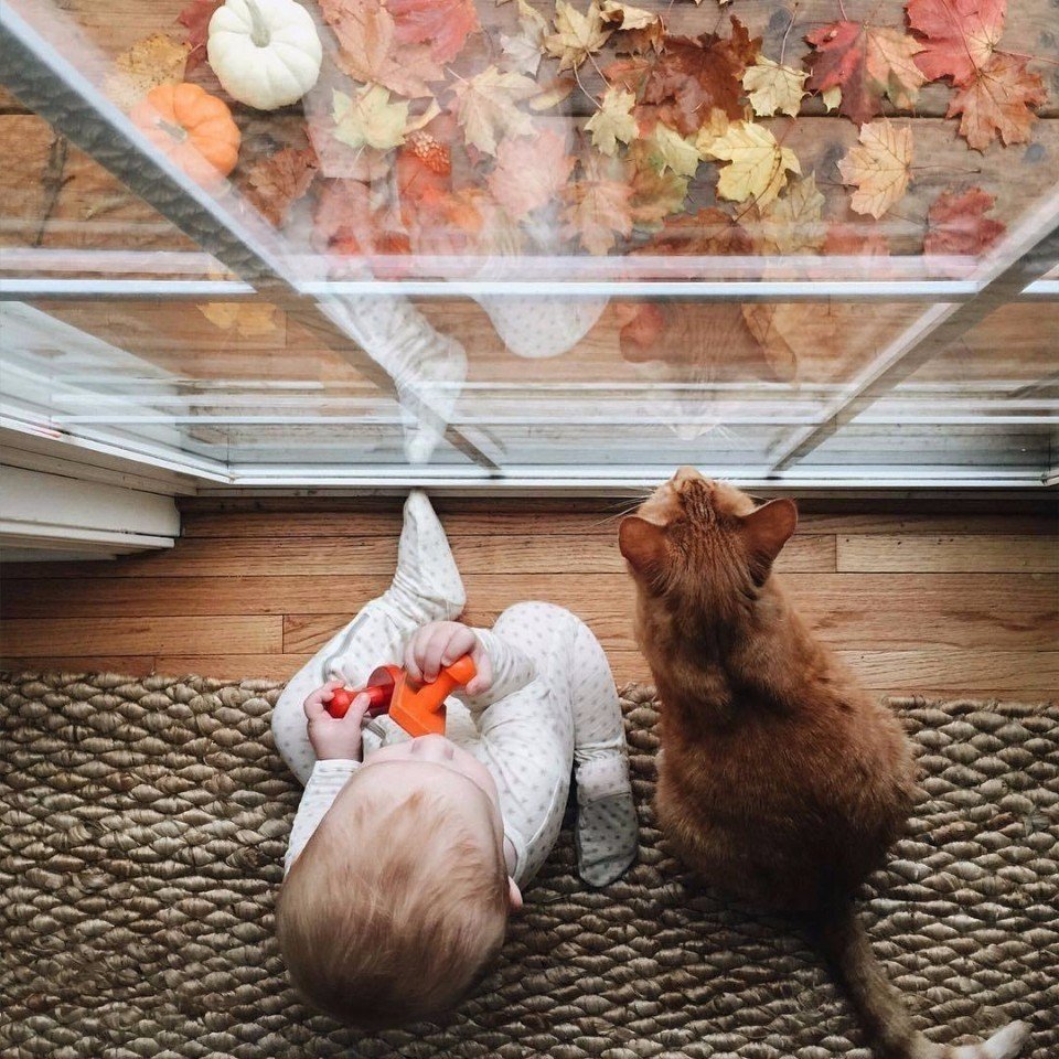 Открытка главней всего погода в доме