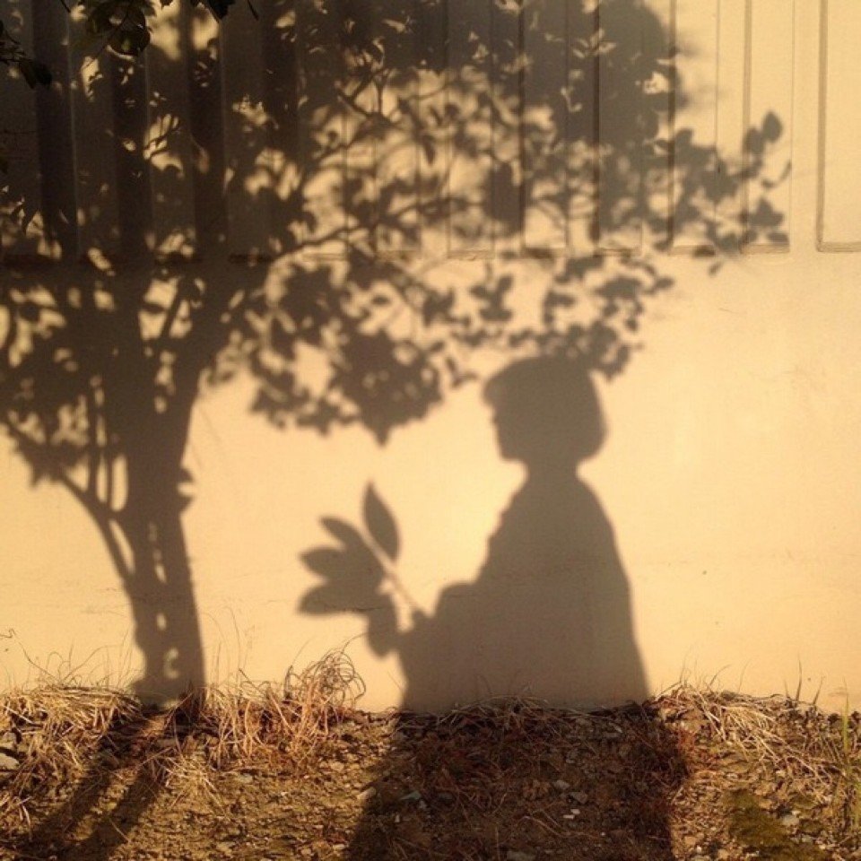 Тень пары на стене