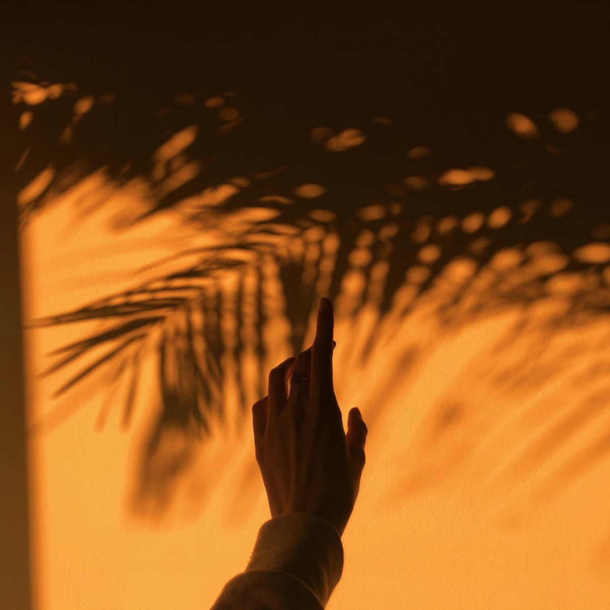 Тень на асфальте