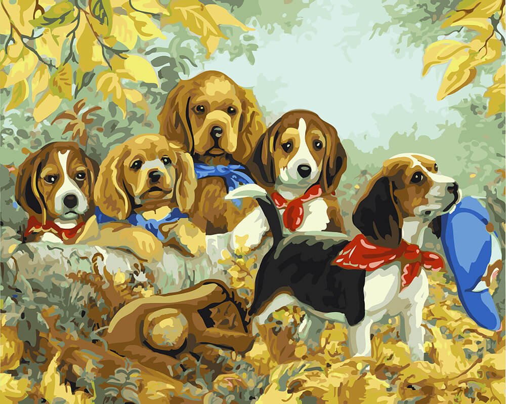 Красивые собаки