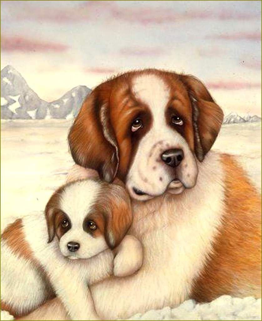 Алмазная мозайка сербернар