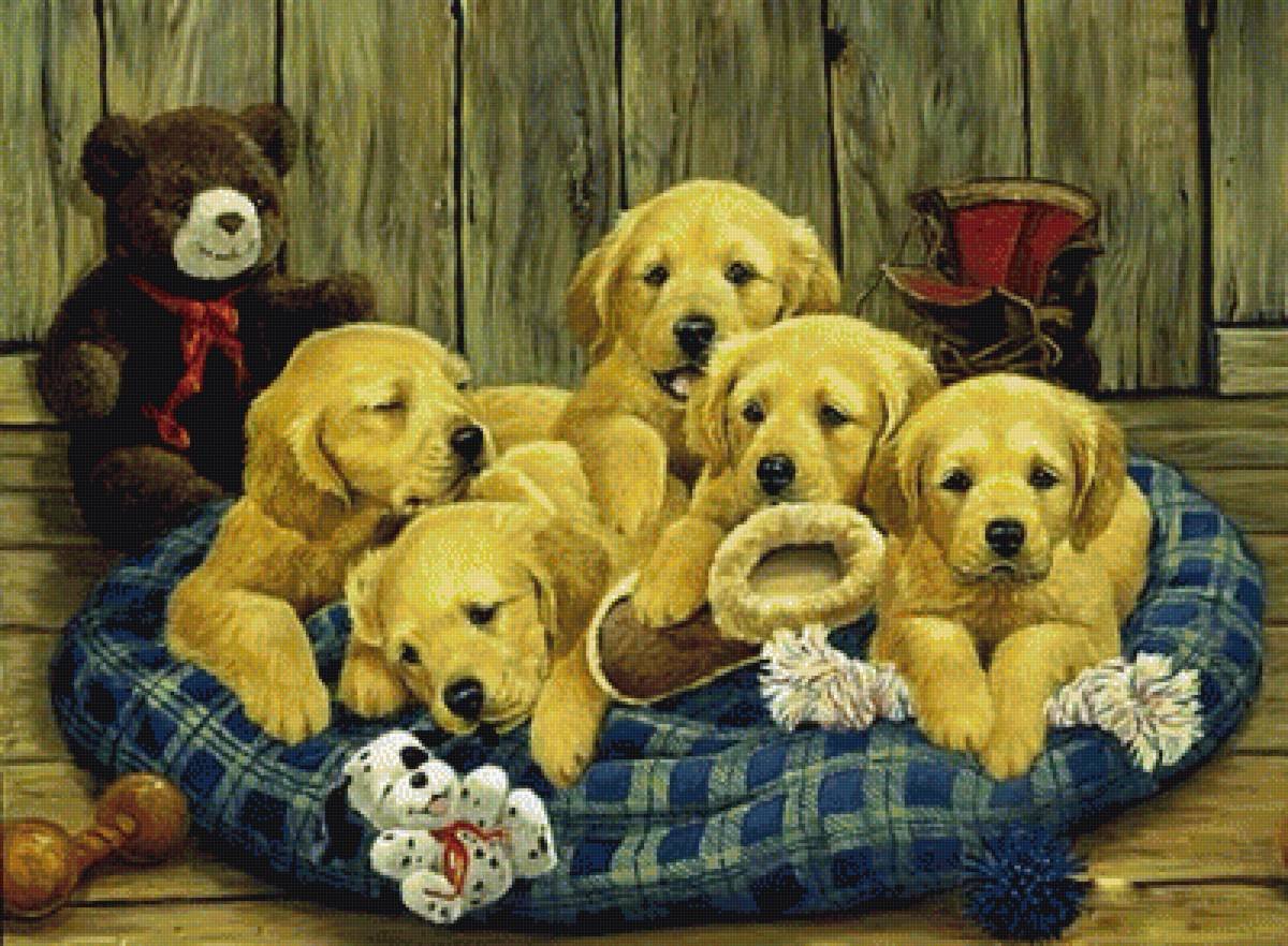 Семейство собак картина